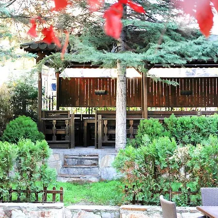 Parlamenter 2* アンカラ